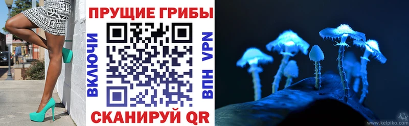 Галлюциногенные грибы ЛСД  Черепаново 